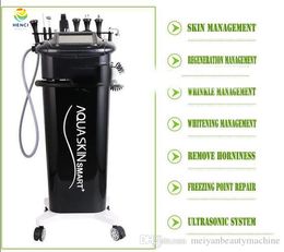 9 in 1 Korea AQUASKIN Pore Cleaning Hydro Facial Lifting Skin Care Multi-Functional Beauty Machine for Salon