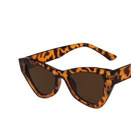 -Sonnenbrille Frauen Cateye Retro Brand Designer Dot Superstar weibliche Damenbrillen Katzen Eye UV400Sunglasses