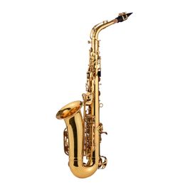 Eb Alto Saxophone Sax Brass Body Shell Keys Woodwind Instrument & Carry Case Gloves Cloth Brush Sax Neck