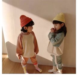 INS Autumn Korean Girls Clothing Sets Long Sleeve Sweatershirts Pants 2pcs Winter Unisex Patchwork Tracksuits