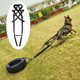 Dog Training Product Supplier Toys K9 Treats Trainer Pet Accessories Adjustable for Medium Large s German Shepherd Y200330