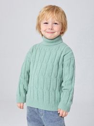 Toddler Boys Turtleneck Cable Knit Drop Shoulder Sweater SHE01