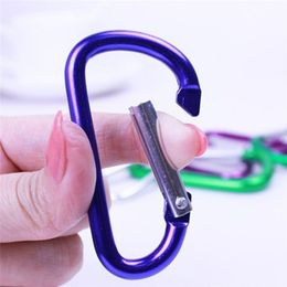 Carabiner Keychain Outdoor Camping Climbing Hiking D-ring Snap Clip Lock Buckle Hooks Sports Fishing Bucklekeychain Tools
