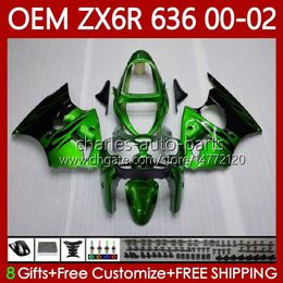 Injection Green&flames Body For KAWASAKI NINJA ZX 6R 600 CC 6 R ZX636 ZX-600 00-02 Bodywork 133No.66 ZX 636 600CC ZX-636 ZX-6R 2000 2001 2002 ZX600 ZX6R 00 01 02 OEM Fairings