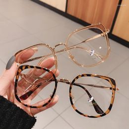 Oversized Square Women Glasses Frame Vintage Clear Anti-blu-ray Eyewear Men Optical Leopard Computer Goggle Fashion Sunglasses Frames