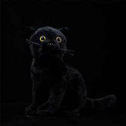 23cm Real Life Cats Plush Toy Soft Black Sitting Cat Stuffed Toys Lifelike Farm Animal Kitten Toys Gifts For Kids LJ201126