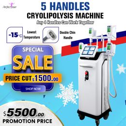 Cryo Lipolysis Device Slimming Body Massage Machine made in China vacuum fat reduction equipment 360° double chin