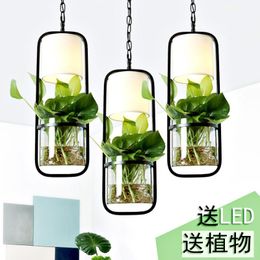 Pendant Lamps Nordic Modern Simple Green Plant Cloth Chandelier Restaurant Balcony Internet Cafe Iron Art Hydroponic ChandelierPendant