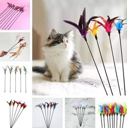 Cat toys Bell feathers Pet tease cats and tick interactive teasing Fishes deity to amuse the cat pole Feather toys Supplies ZC1037