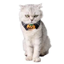 Halloween Pet Supplies Dog Ornaments Trick or Treat Festival False Collar Halloween Cat Ornaments Black Pumpkin Bow Tie 1222137