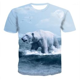 Men's T-Shirts Fashion 3D T Shirt Printing Bear Animal Short Sleeved Street Cool 2022 Summer Casual