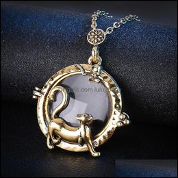 Pendant Necklaces Locket Necklace Animal Cat Sweater Long Chain Women Men Jewellery Collar Collier Magnifying Glass Ca Baby Dhoab