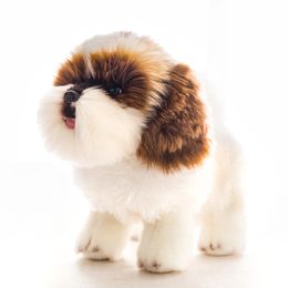 Quality Realistic Animal Poodle Plush Toy Mini Simulation White Dog Doll Children's Gift Sofa Car Decoration 26x23cm DY10082