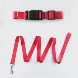 Dogs Pets Collar Dog Leash Seat Belt Cat Pet Leash for Small Medium Dogs Puppy Accessories LC0114 T200517
