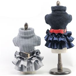 Fashion Autumn Winter Pet Dog Dress Clothes Sweet Princess Small Medium Dogs Teddy Puppy Wedding es size XSXL Y200330