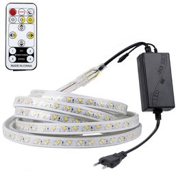 Strips 220V LED Strip Light Dimmable With Remote Controller Soft Tape Waterproof SMD 5630 Ribbon Flexible StripLED