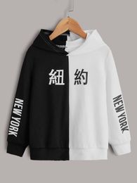 Toddler Boys Chinese Letter Graphic Two Tone Hoodie SHE