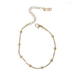 Link Chain Trendy Pearl Bead Leg Anklet Jewellery Boho 2022 Summer Copper Chian Bracelet