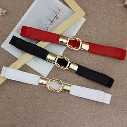 Belts The Fashionable Women's Elasticated Thin Waist Seal Embellished Dresses With Red And Small White For WomenBelts Forb22