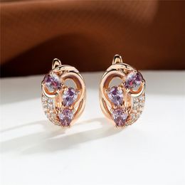 Hoop & Huggie Luxury Small Water Drop Stone Earrings Purple Crystal White Zircon Rose Gold Colour Wedding For WomenHoop