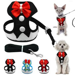Dog Collars & Leashes Mesh Small Harness Nylon Breathable Puppy Vest Pet Walking Harnesses Leash Set For Chihuahua Dogs CatDog
