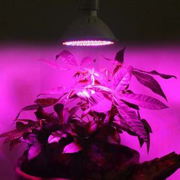 LED Grow Light 6w 15w 20w E27 220V Full Spectrum Phyto Lamp 60LEDs 41 Red 19 Blue Indoor Plant Lamp For Plants Vegs Hydroponic System