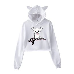 Women's Hoodies & Sweatshirts Gloom Logo Pullover Hoodie Merch For Girls Cat Ear Crop Top Youth