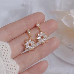 Stud Gold Colour Dainty Korean Flower Earrring For Women Bling Zirconia Hollow Lace Earring Wedding Brincos Bijoux GiftStud Dale22 Farl22