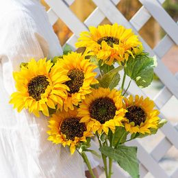 Buy Sunflower Dried Online Shopping at DHgate.com