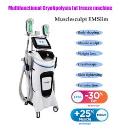 Vertical 2 in 1 HIEMT Slimming Machine Cryotherapy Cryo Lipolysis Ultrasound RF Liposuction Cellulite removal Machines