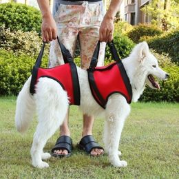 2PcsSet Promotion Dog Harness Vest Dog Lift Support Harness Pet Accessories Dogs Collar Auxiliary Strap Pet Supplies #279551 201101