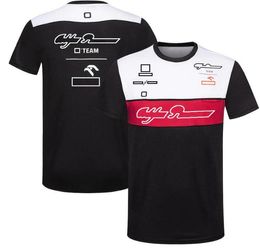 Men's T-shirts F1 Formula 1 Lapel T-shirt Summer Team Polo Uniform Same Custom Trcv