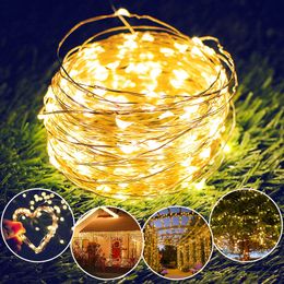 2m/5m/10m Copper Wire LED Garlands Christmas Fairy String Lights Curtain light For Wedding Home Garden Decoration Lamp D3.0