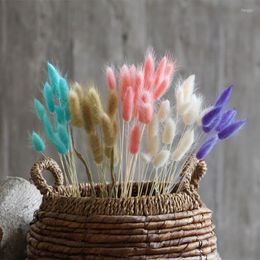 Decorative Flowers & Wreaths 10Pcs Natural Dried Tail Grass Bunch Colourful Pampas Real Dry Flower Bouquet Wedding Home Decor