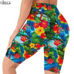 Beautiful Macaw Leggings 3D Pattern Printed Shorts Women Sexy Gym Sweatpants for Women Biker Sports Shorts Drop W220616