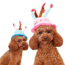 Gatos de cachorro chapéu de aniversário animais de estimação Bolo de bolo de lã Preparação de tamanho grátis para gatos fantasias