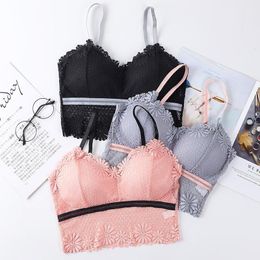 Bustiers & Corsets 2022 Arrival Women Sexy Lace Bra Tube Top Colorblock Daisy Wrapped Chest Underwear Female Anti-Glare Camisole Bralette