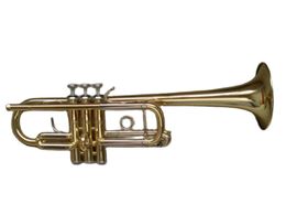 Professional Grade C Key Gold Plated Trumpet Trumpet Instrument