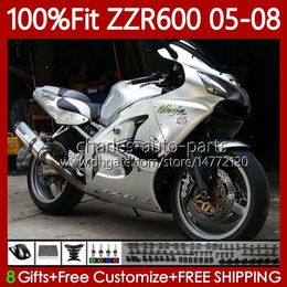 100% Fit OEM Body For KAWASAKI NINJA ZZR-600 600 CC 600CC 05-08 Bodywork 134No.196 ZZR 600 ZZR600 05 06 07 08 2005 2006 2007 2008 Injection Mold Fairing Kit shark silvery