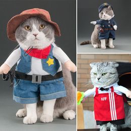 Spring and Autumn Pet Cat Dog Apparel Clothes Cute Funny Clothes Cats Dogs Standing Transformed Three-dimensional