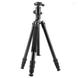 Tripods Tripod Weifeng WF-6620A Aluminum Alloy Reflex The Portable Travel Pography For SLR DSLR Digital Camera Loga22