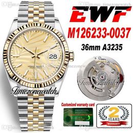 EWF 36mm 126233 A3235 Automatic Mens Watch Two Tone Yellow Gold Olive Golden Palm Dial 904L Steel JubileeSteel Bracelet Warranty Card Super Edition Timezonewatch