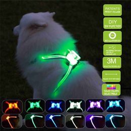 dogled Pet Products for Large 7 in 1 color Dog Glowing USB Led Collar Puppy Lead Pets Vest Leads Y200515