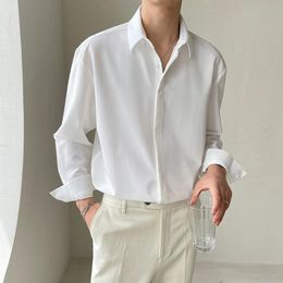 Korean Mens White Dress Shirt Online 
