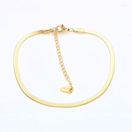 Anklets Simple Flat Snake Chain For Women Gold Plated Stainless Steel Beach Foot Jewelry Leg Ankle Bracelet Jewllery GiftsAnklets Kirk22