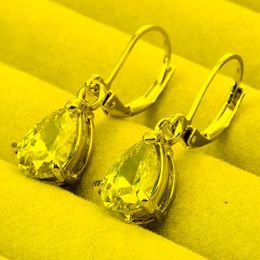 Dangle & Chandelier Teardrop Zircon Earring For Women Earrings Fashion Wedding Jewellery Long Piecered Crystal StoneDangle