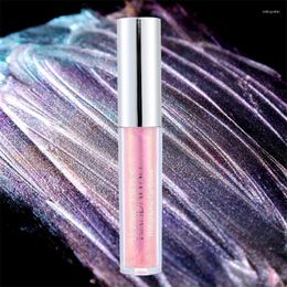 Lip Gloss 7 Colours Shiny Colourful Long Lasting Moisturise Nourishing Glaze Polarised Texture Delicate Silky Sexy Makeup Wish22