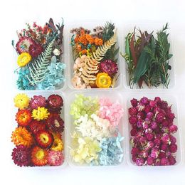 Decorative Flowers & Wreaths Box Real Natural Dried Flower Dry Plants Making Craft DIY Colorful Candle Epoxy Resin Jewelry For Home Decorati