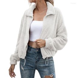 Teddy Coat Women Faux Fur Coats Long Sleeve Fluffy Jackets Winter Warm Female Jacket 2022 Dropshiping Women's