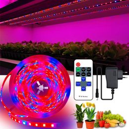 Strips LED Grow Lamp Full Spectrum Plants Seedlings Flower Greenhouses Hydroponic Garden Growing Plant Light Strip SetLED